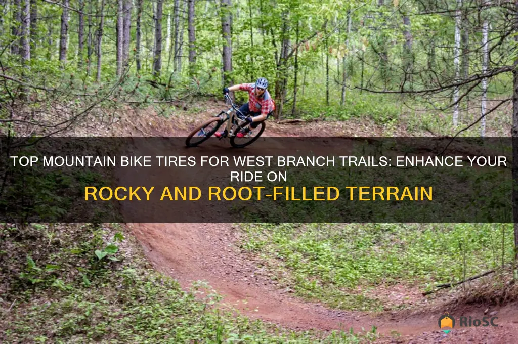 best mountain bike tires for west branch