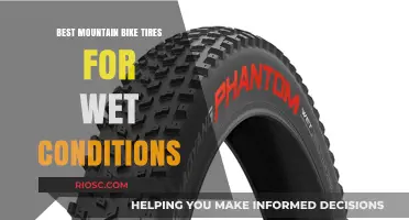 Top Mountain Bike Tires for Wet and Muddy Trails: Stay Gripped and Confident in Any Weather