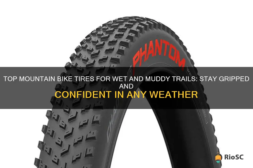 best mountain bike tires for wet conditions
