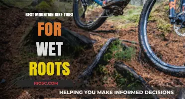 Conquer Wet Roots: Top Mountain Bike Tires for Slippery Trail Conditions
