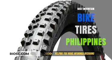 Top Mountain Bike Tires in the Philippines: Ultimate Guide for Trail Performance and Durability