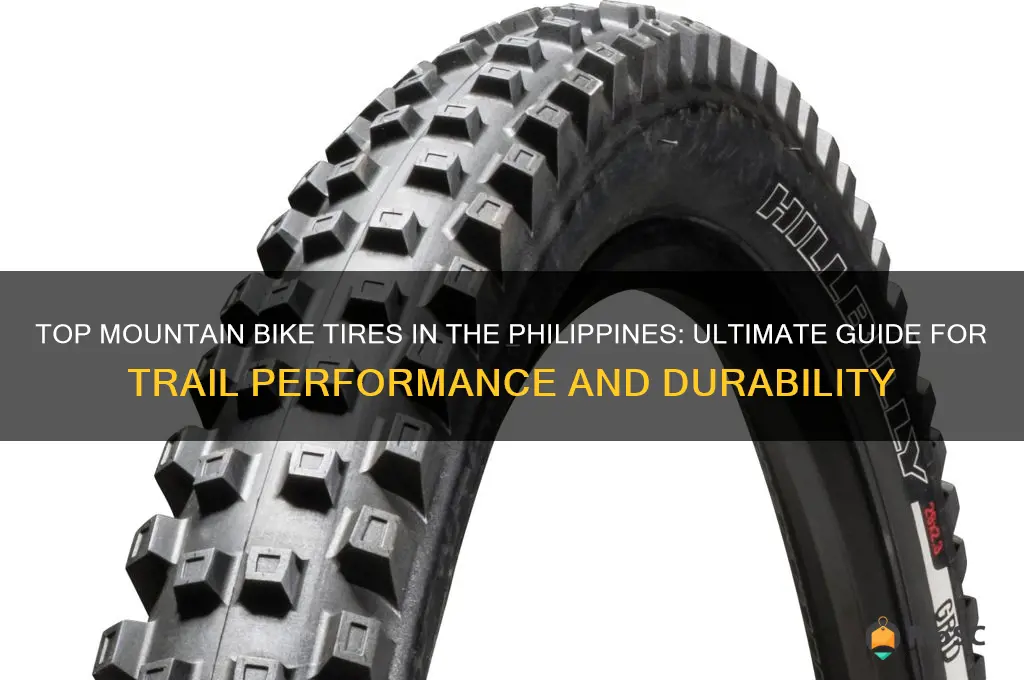 best mountain bike tires philippines