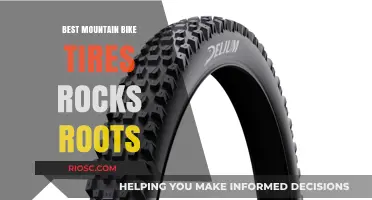 Top Mountain Bike Tires for Tackling Rocks and Roots: Ultimate Grip and Durability