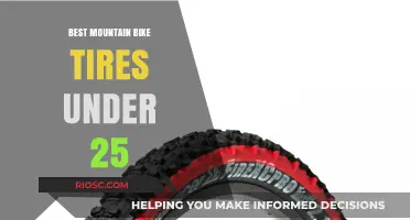 Affordable Grip: Top Mountain Bike Tires for Under $25