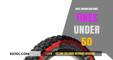 Affordable Adventure: Top Mountain Bike Tires Under $50 for Every Trail