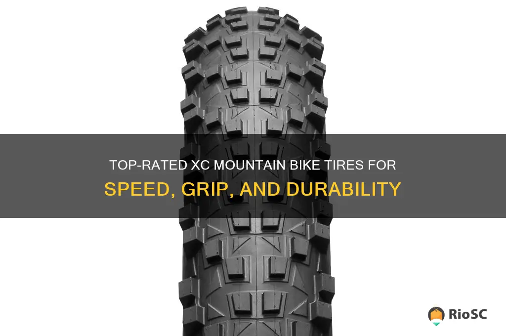 best mountain bike tires xc
