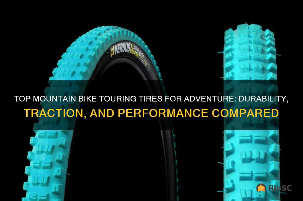best mountain bike touring tires