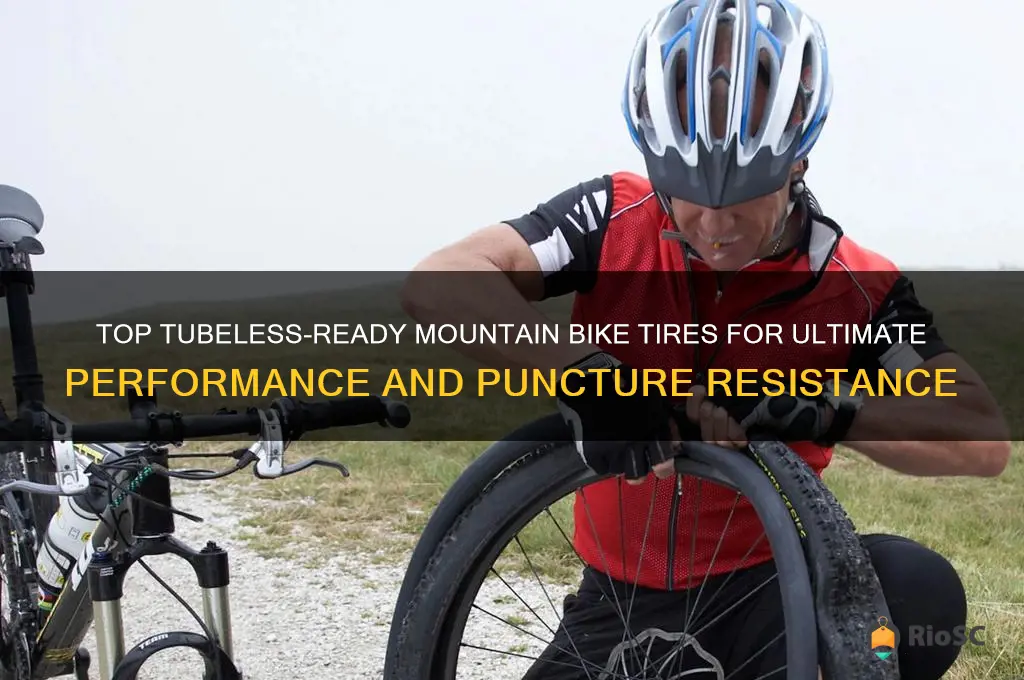 best mountain bike tubeless ready tires