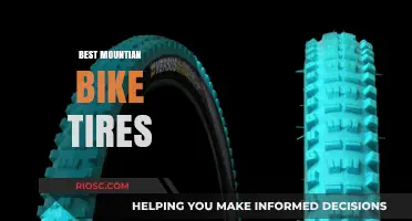 Top-Rated Mountain Bike Tires for Ultimate Performance and Durability