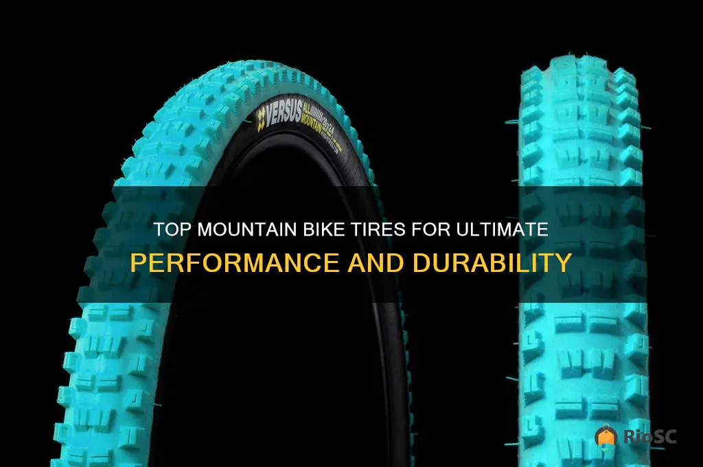 best moutain bike tires