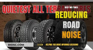 Top MS Tires for a Quieter Ride: Best Options to Reduce Road Noise