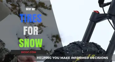 Top Picks: Mountain Bike Tires for Snowy Trails