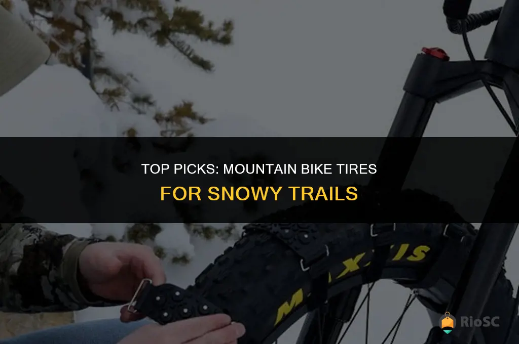 best mt tires for snow