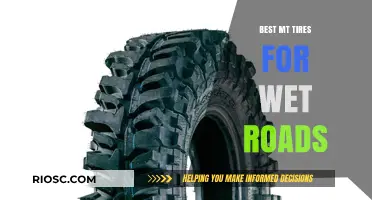 Top-Rated MT Tires for Superior Wet Road Performance and Safety