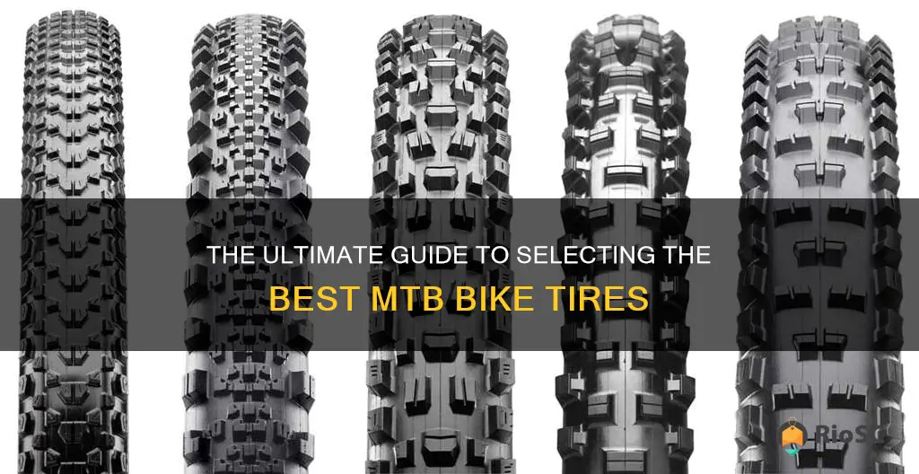 best mtb bike tires