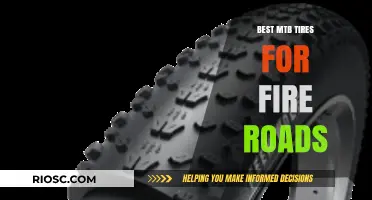 Top Mountain Bike Tires for Fire Roads: Durability, Speed, and Traction for Rough Terrain