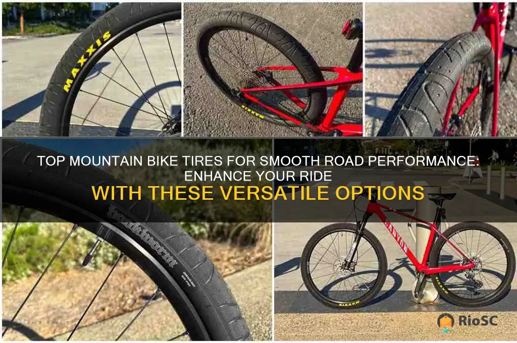 best mtb tires for road
