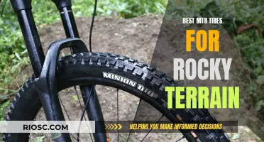 Navigating Rocky Trails: Choosing the Right MTB Tires for Maximum Traction and Control