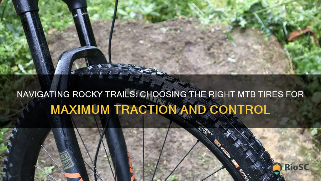 best mtb tires for rocky terrain