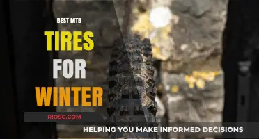 Conquer the Cold: Top Mountain Bike Tires for Winter Riding