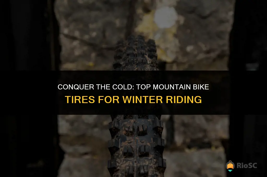 best mtb tires for winter