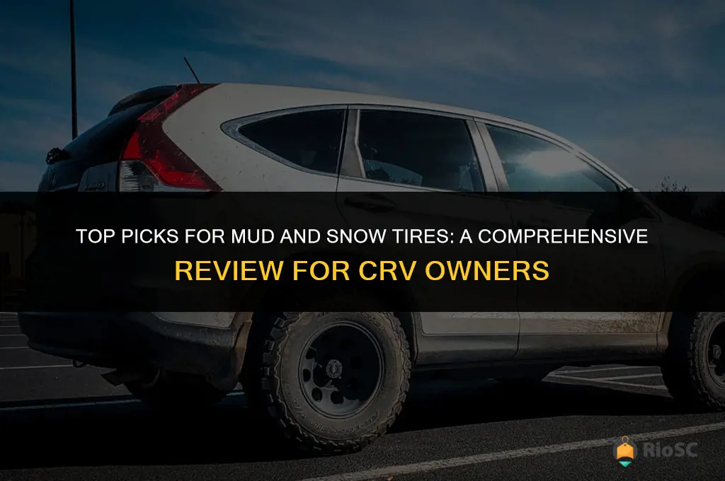 best mud & snow tires review crv