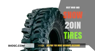 Top Picks for Mud and Snow: 20-Inch Tires That Conquer Any Terrain