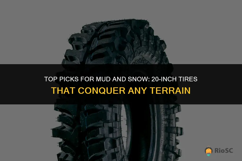 best mud and snow 20in tires