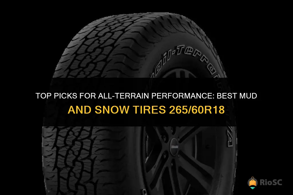 best mud and snow tires 265 60 r18