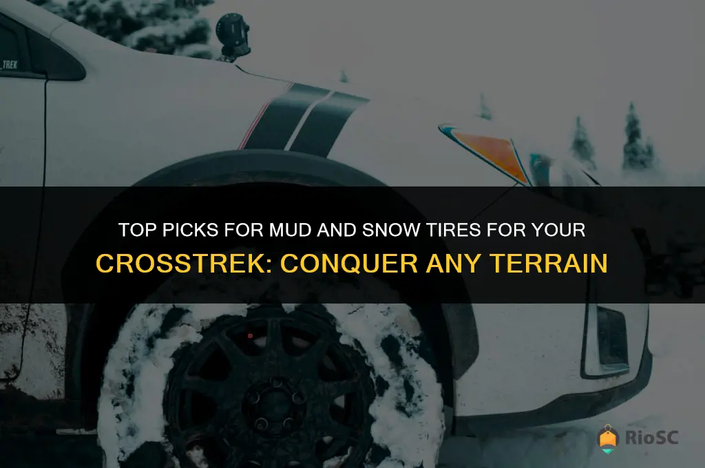 best mud and snow tires crosstrek