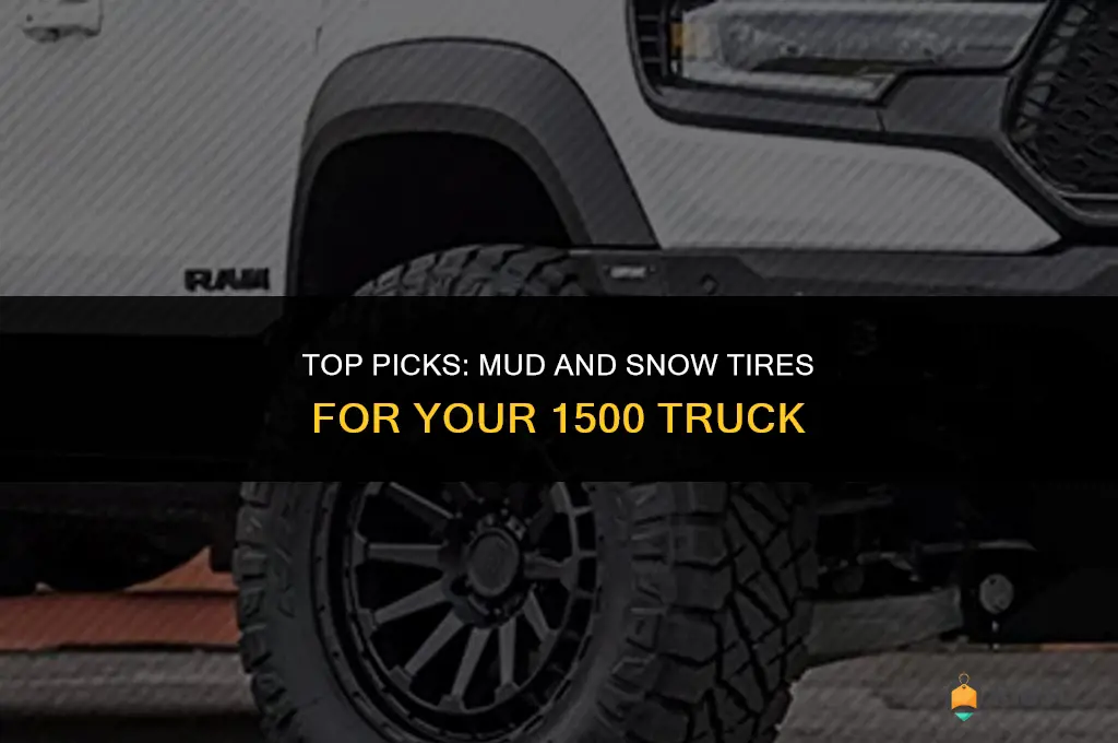 best mud and snow tires for 1500
