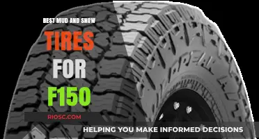 Top-Rated Mud and Snow Tires for Your Ford F-150: Conquer Any Terrain