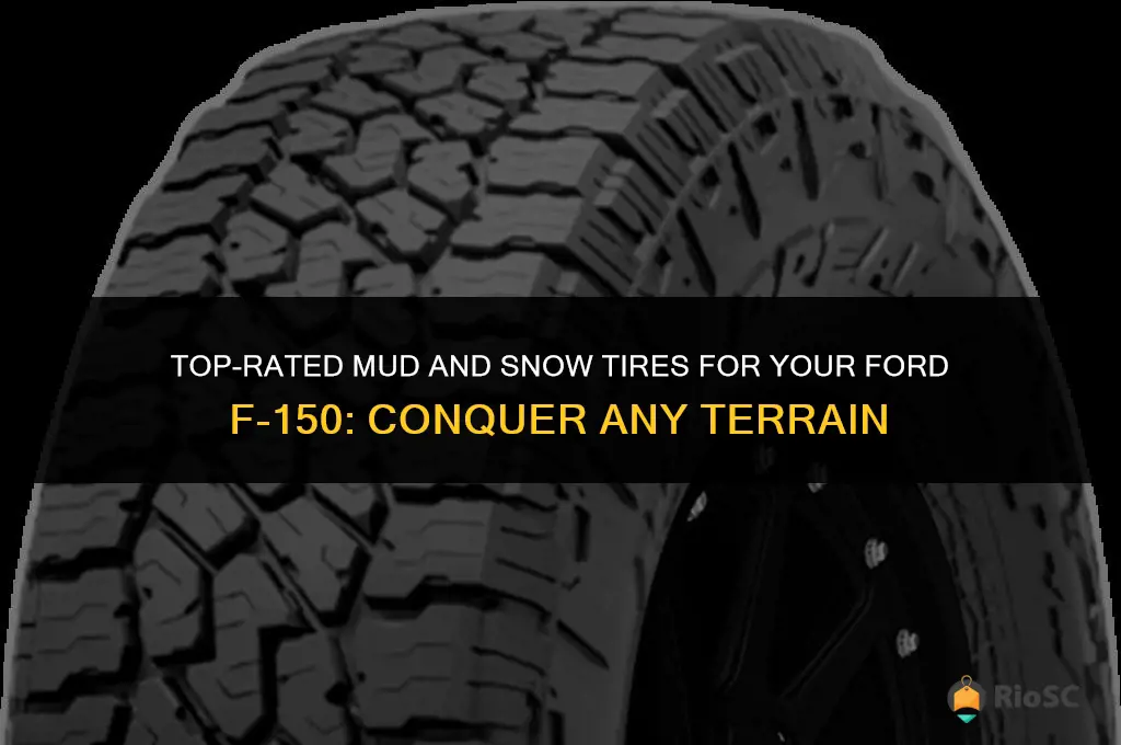 best mud and snow tires for f150