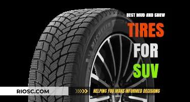 Top-Rated Mud and Snow Tires for SUVs: Conquer Any Terrain