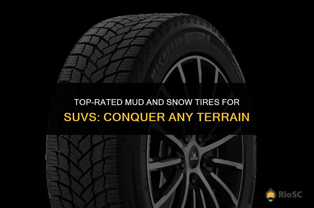 best mud and snow tires for suv