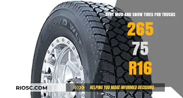 Top-Rated Mud and Snow Tires for Trucks: 265 75 R16 Options to Tackle Any Terrain