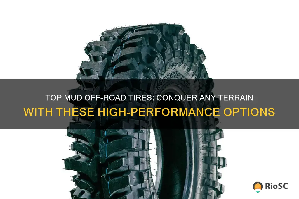best mud off road tires