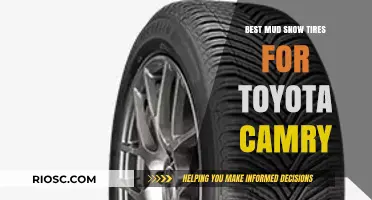 Top Picks for Mud and Snow Tires for Your Toyota Camry: Stay Safe and Stylish This Winter