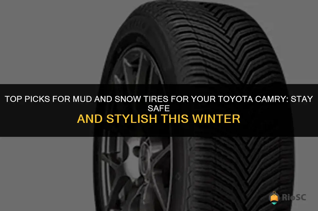 best mud snow tires for toyota camry