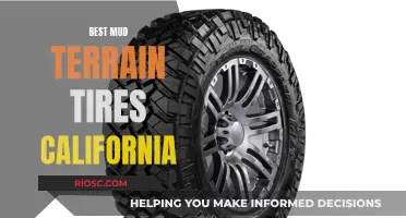 Mud-Conquering Tires: The Best Options for California's Terrain