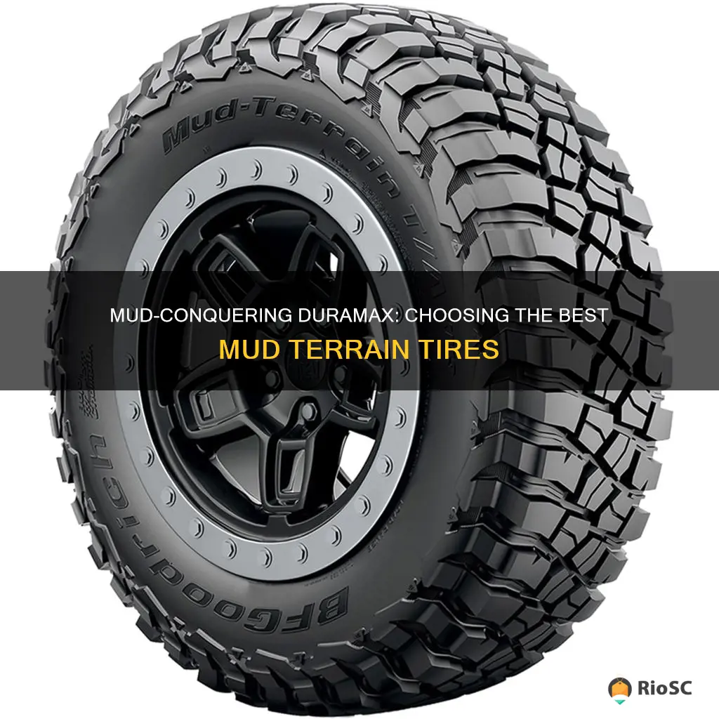 best mud terrain tires for duramax