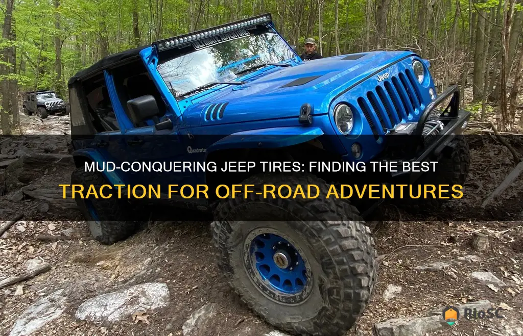 best mud terrain tires for jeep