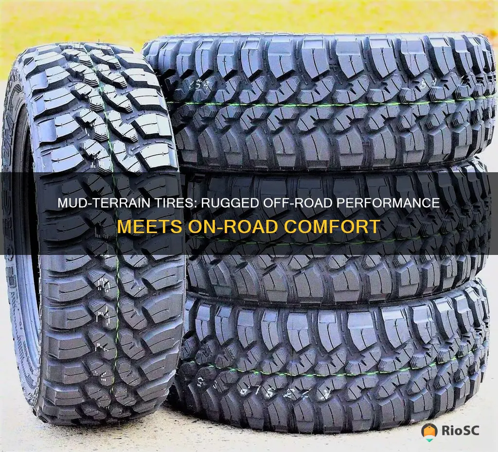 best mud terrain tires for road