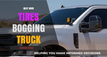 Ultimate Guide to the Best Mud Tires for Bogging Trucks: Dominate the Mud with Top Picks
