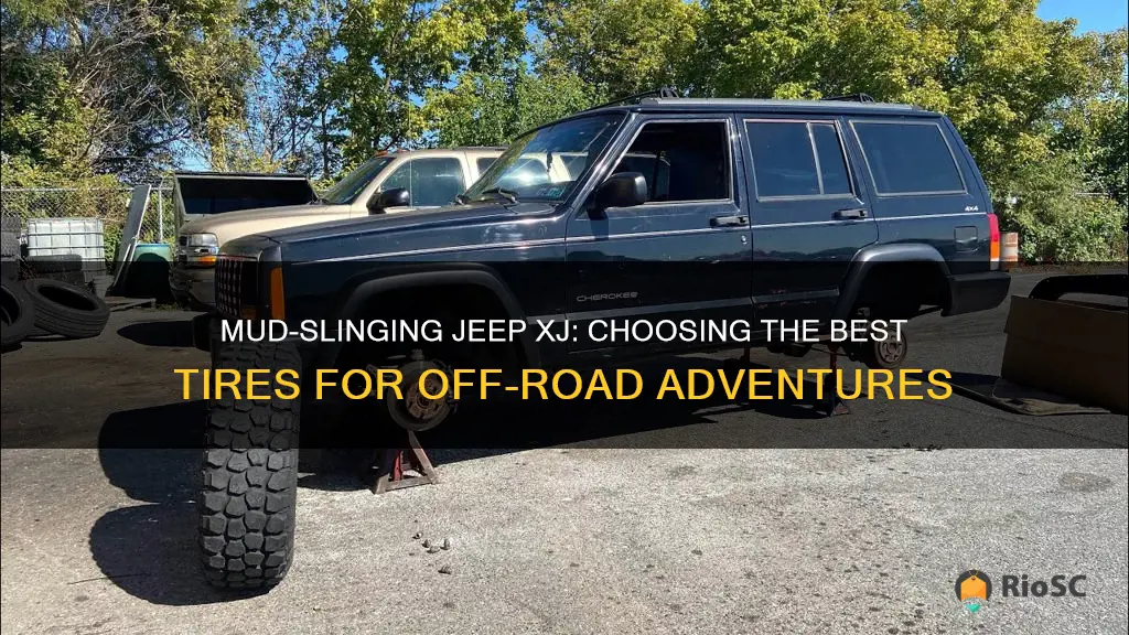 best mud tires for 1988 jeep xj