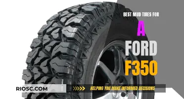 Ford F350 Mud-Terrain Masters: Choosing the Best Tires for Your Beast