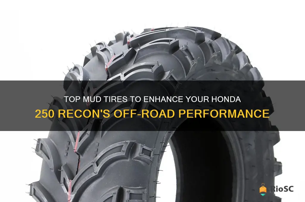 best mud tires for honda 250 recon