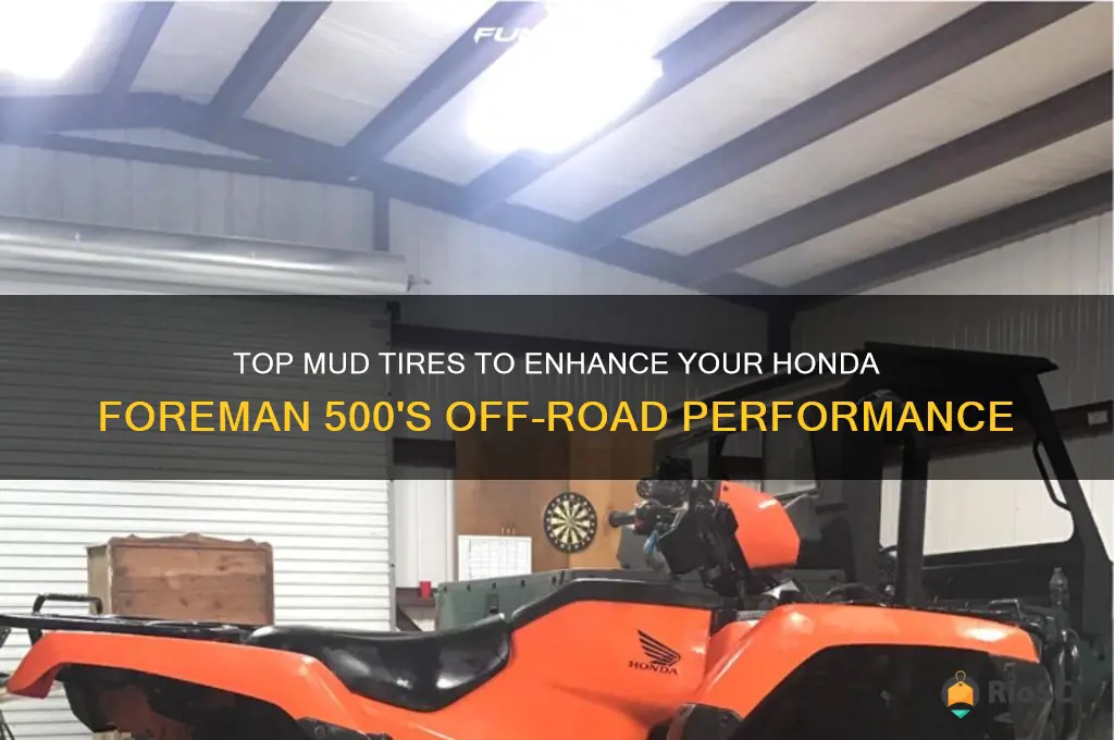 best mud tires for honda foreman 500