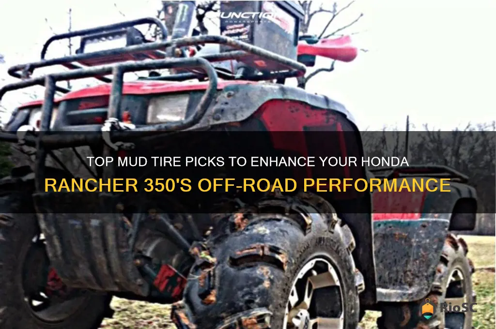 best mud tires for honda rancher 350
