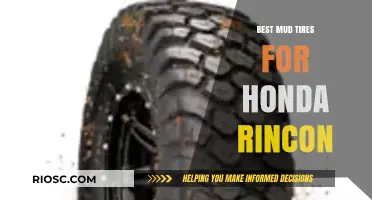 Top Mud Tires for Honda Rincon: Enhance Your Off-Road Adventure